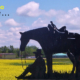 Yellow  Natures Live Award Statues
